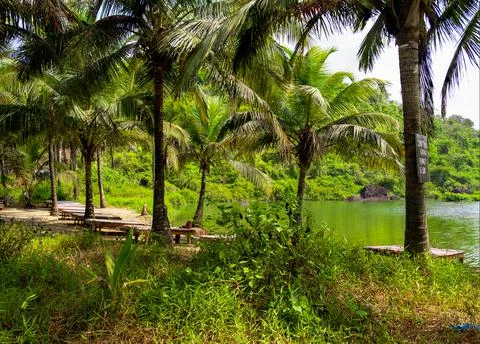 Lake Stock Photos