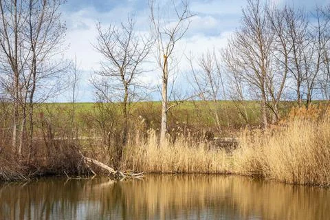 Lake Stock Photos