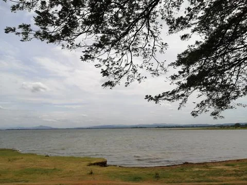 The lake Stock Photos