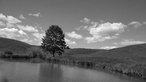 Lake Stock Photos