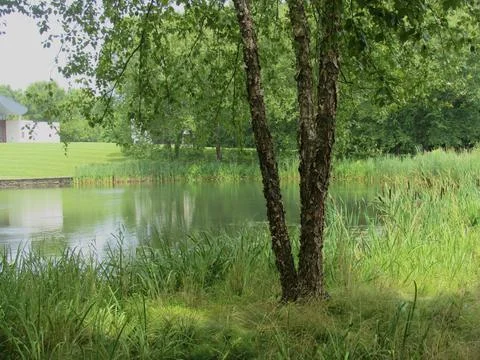 By the Lake Stock Photos