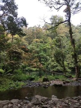 Lake Stock Photos