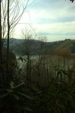 The lake Stock Photos