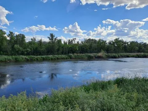 The lake Stock Photos