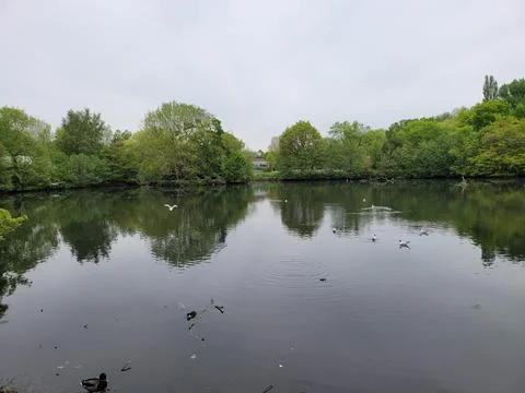 Lake Stock Photos