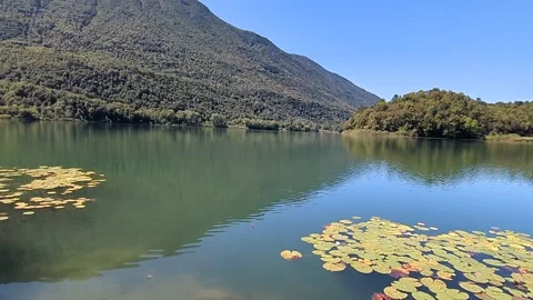 Lake Piano reflection Stock Footage 313361730