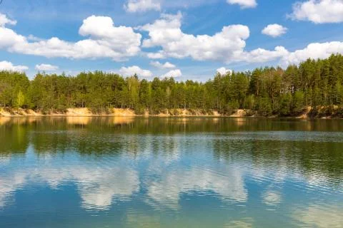 Lake in pine forest Stock Photos