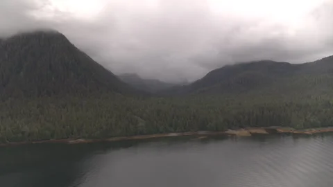 Lake with Pine Tree Mountains and Fog Behind drone Slow Motion Stock Footage 255144680