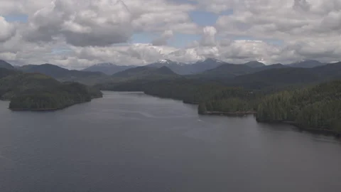 Lake with Pine Trees and Snowy Mountains in Background Drone Stock Footage 255143359
