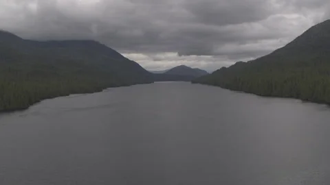 Lake with Pine Trees lining and Mountains in Background drone Stock Footage 255144077