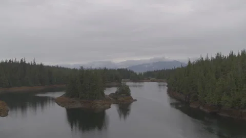Lake with Pine Trees throughout with mountains in background drone sweeping Stock Footage 255143435