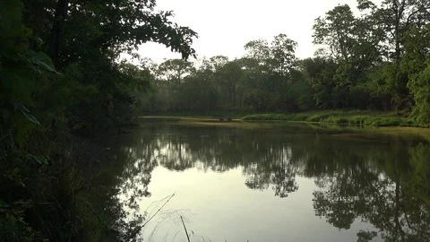 Lake pollen, Cambodia Vídeos de archivo 121609211