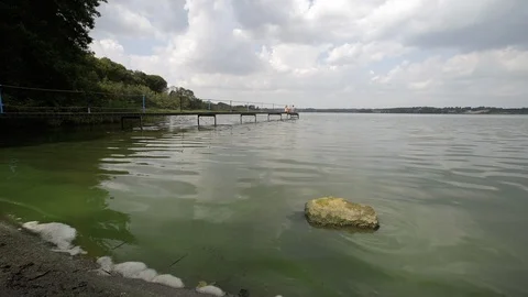 Lake polluted with green algae Stock-Footage 104145007