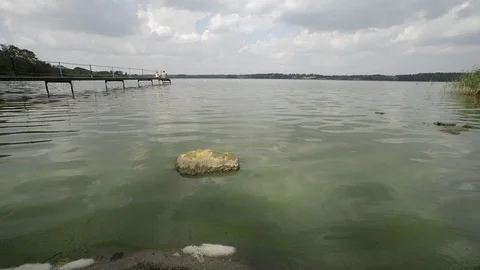 Lake polluted with green algae Stock-Footage 104145173