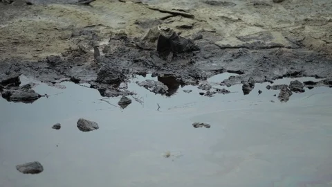 A lake polluted with oil Stock Footage 86826945