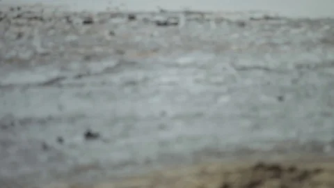 A lake polluted with oil Stock Footage 86830039