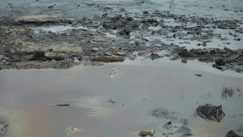 A lake polluted with oil Stock Footage 86831761
