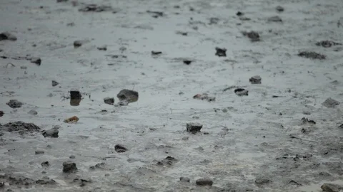 A lake polluted with oil Stock Footage 86832301