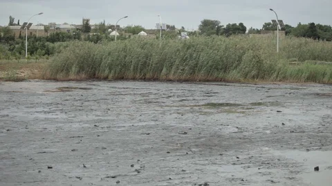 A lake polluted with oil Stock Footage 86832581