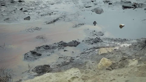 A lake polluted with oil Stock Footage 86832785