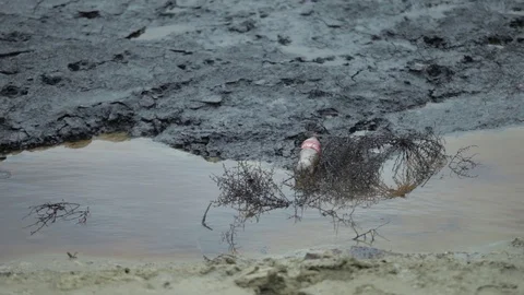 A lake polluted with oil Stock Footage 86835509