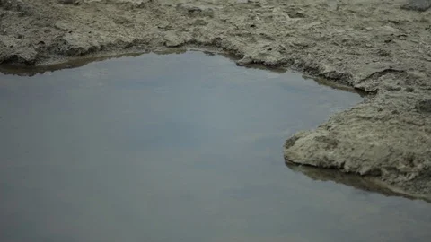 A lake polluted with oil Stock Footage 86836954