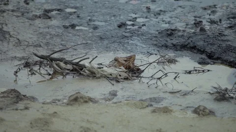 A lake polluted with oil Stock Footage 86837146