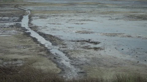 A lake polluted with oil Stock Footage 86838033