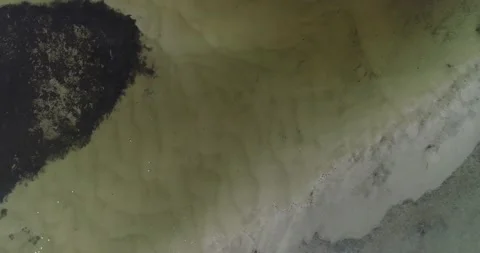 LAKE POLLUTION 1 Stock Footage 162956757