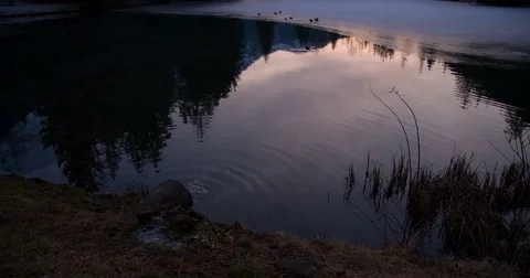 Lake pollution slow motion 스톡 동영상 71355012