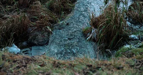 Lake pollution slow motion Video stock 71356166