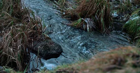 Lake pollution slow motion Видео 71356266