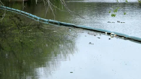 Lake polution Stock Footage 22226905