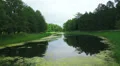 Lake, pond. Pushkin. Catherine Park. Tsarskoye Selo. 4K. 4k or 4k+ Resolution