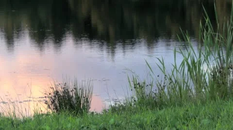 Lake pond reflection Stock Footage 12161627
