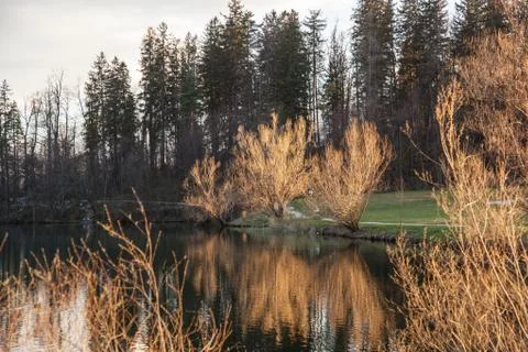 Lake in Preddvor Stock Photos