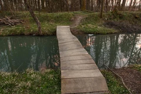 Lake in Preddvor Stock Photos