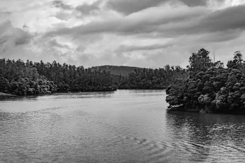 Lake pristine with forest water reflection at morning in black and white Stock-Fotos