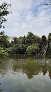 Lake of Redemption between the trees Stock Photos