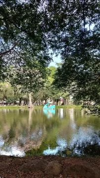 Lake of Redemption between the trees Stock Photos