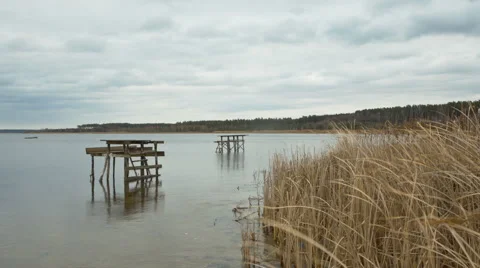 Lake with reeds on the forest background Stock Footage 60699591