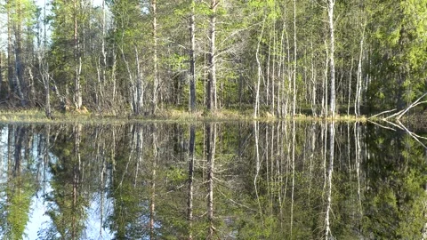 Lake reflected in the water. Stock Footage 194032719