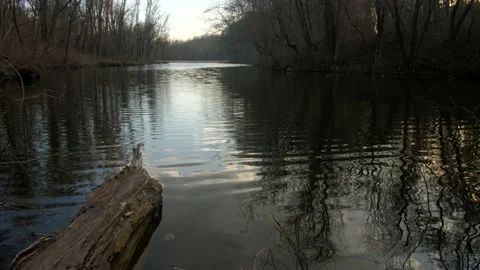 Lake Reflecting Trees Stock-Footage 169570070