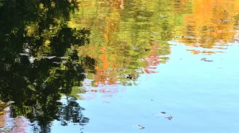 Lake reflection in autumn Video stock 12536956