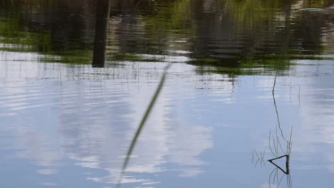 Lake with reflection of clouds in it on a summer's day Stock Footage 113314388
