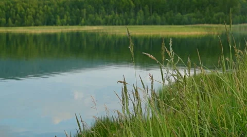 Lake. Reflection Stock Footage 41425953
