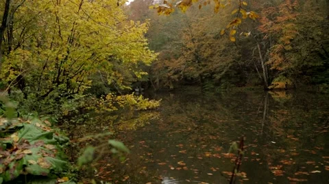 Lake, Reflection Stock Footage 43323689