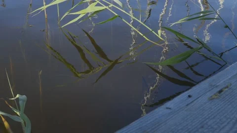 LAKE REFLECTION Stock Footage 158045161