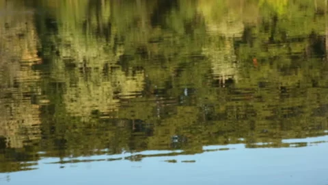LAKE REFLECTION Stock-Footage 181917369