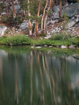 Lake reflection Stock Photos